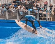 Hasewelle Osnabrueck Surfboard Konstantin Leugermann