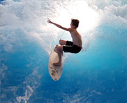 Riverboard Fish Citywave